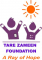 Fundraising Internship at Tare Zameen Foundation in 