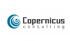 Business Development (Sales) Internship at Copernicus Consulting Private Limited in Chennai, Nagpur