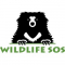  Internship at Wildlife SOS in Chennai, Bangalore
