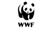 Backend Operations Internship at WWF-India in Mumbai