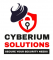  Internship at Cyberium Solutions Private Limited in Gurgaon