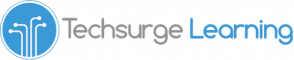  Internship at Techsurge Learning Private Limited in Jaipur