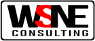  Internship at WSNE Consulting Private Limited in Delhi