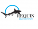 Content Writing Internship at Requin Solutions Private Limited in Jaipur