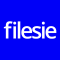  Internship at Filesie Systems (India) Private Limited in Hyderabad
