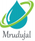 Business Development (Sales) Internship at Mrudujal Technologies in Pune