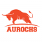 Lead Generation Internship at Aurochs Software Private Limited in Pune