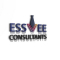  Internship at Essvee Consultants in Manesar