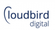 Human Resources (HR) Internship at CloudBird Digital Private Limited in Delhi, Noida