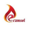  Internship at Camsol Technologies Private Limited in 