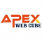  Internship at Apex Web Cube in Jaipur
