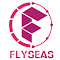 Business Development (Sales) Internship at Flyseas in Ahmedabad, Chandigarh, Lucknow, Pune, Bangalore, Hyderabad, Mumbai, Jaipur, Noida, Delhi